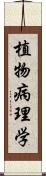 植物病理学 Scroll