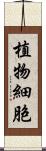 植物細胞 Scroll