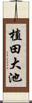 植田大池 Scroll