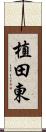 植田東 Scroll