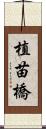 植苗橋 Scroll