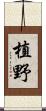 植野 Scroll