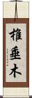 椎垂木 Scroll
