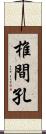 椎間孔 Scroll
