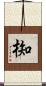 椥 Scroll