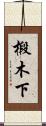 椴木下 Scroll