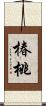 椿桃 Scroll