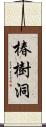 椿樹洞 Scroll