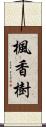 楓香樹 Scroll