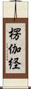 楞伽経 Scroll