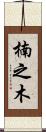 楠之木 Scroll