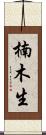 楠木生 Scroll