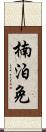 楠泊免 Scroll