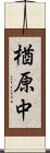 楢原中 Scroll