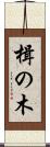 楫の木 Scroll