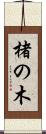 楮の木 Scroll