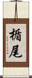楯尾 Scroll
