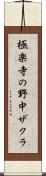 極楽寺の野中ザクラ Scroll