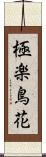 極楽鳥花 Scroll