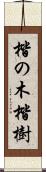 楷の木 Scroll