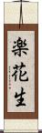 楽花生 Scroll