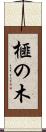 榧の木 Scroll