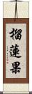 榴蓮果 Scroll