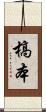 槁本 Scroll