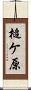 槌ケ原 Scroll