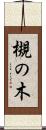 槻の木 Scroll