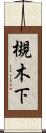 槻木下 Scroll