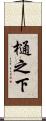 樋之下 Scroll