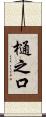 樋之口 Scroll