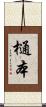 樋本 Scroll