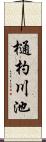 樋杓川池 Scroll
