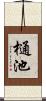 樋池 Scroll