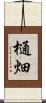 樋畑 Scroll