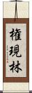 権現林 Scroll