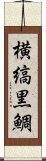 横縞黒鯛 Scroll