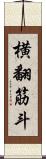 横翻筋斗 Scroll