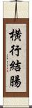 横行結腸 Scroll