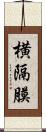 横隔膜 Scroll