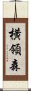 横領森 Scroll