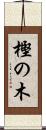 樫の木 Scroll