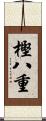樫八重 Scroll