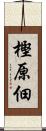 樫原佃 Scroll