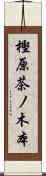 樫原茶ノ木本 Scroll