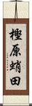 樫原蛸田 Scroll