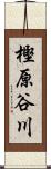 樫原谷川 Scroll