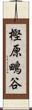 樫原鴫谷 Scroll